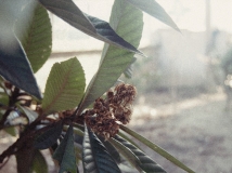 �����ɺ�ȥ��