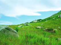 �������ϡ����뺣�ļʻ�